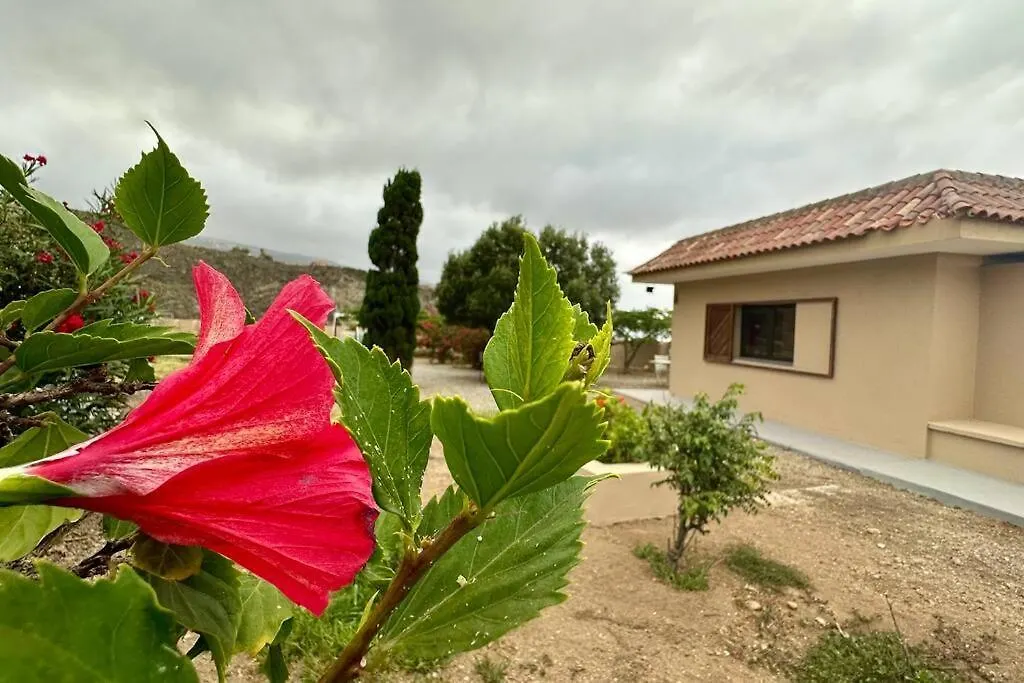 Peaceful Oasis With Magical Sea Views And A Pool Βίλα Σάντα Κρουζ Τενερίφης
